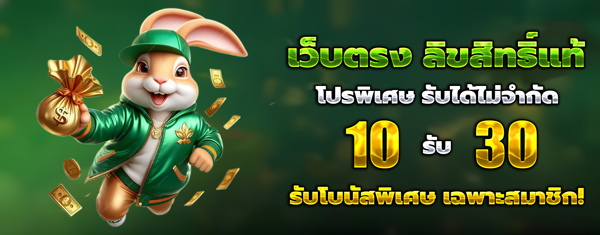 เว็บแทงบอลดีที่สุด